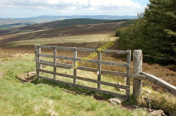 Photo 6"x4" Hunt Law from Breach Law Bellspool c2010