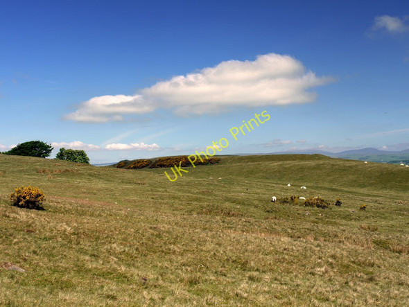 Photo 6"x4" Tosson Burgh hill fort from the south-east Great Tosson c2010