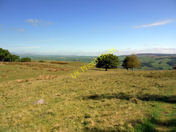 Photo 6"x4" Windy Crag above Burgh Hill Great Tosson c2010