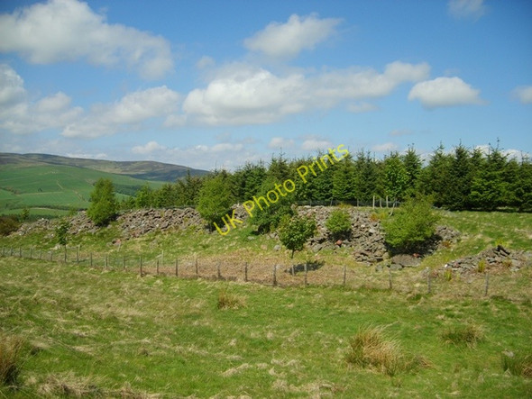 Photo 6"x4" Old Dyke Balfield c2010