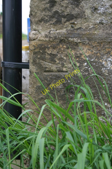 Photo 6"x4" Cut Bench Mark (close-up) Fishpool\/SE2347 c2010
