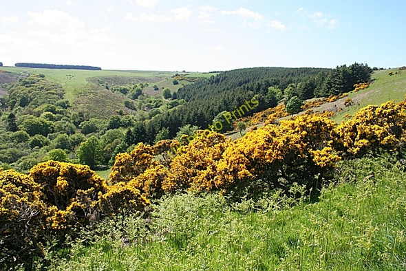 Photo 6"x4" Wanford Burn Gardenstown c2010