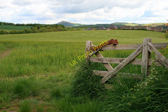 Photo 6"x4" An open gate Newton St Boswells c2010