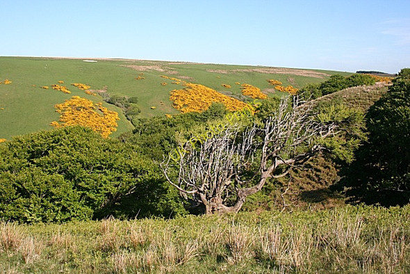 Photo 6"x4" The View from Muckle Doups Glenhouses c2010