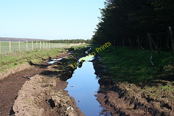 Photo 6"x4" Track on Hill of Troup Dubford\/NJ7963 c2010