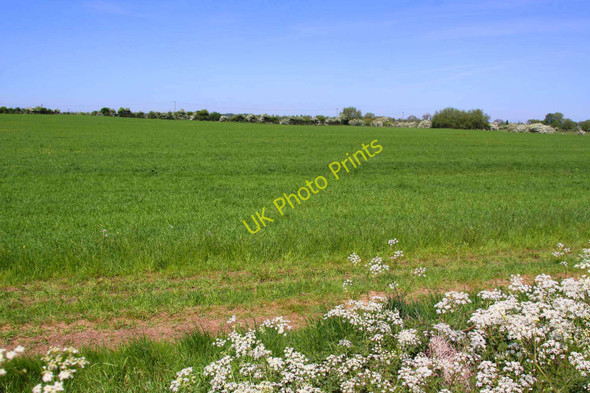Photo 6"x4" Arable field at Wytham Wolvercote c2010