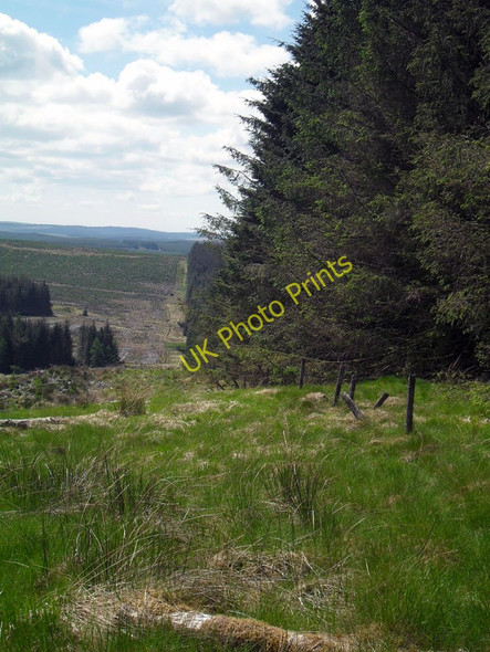Photo 6"x4" Beside the White Hole Davington\/NT2302 c2010