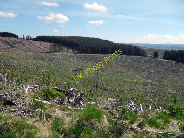 Photo 6"x4" The White Hole Davington\/NT2302 c2010
