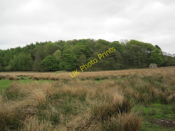 Photo 6"x4" Lodges Plantation and Field Barn Low Row\/NY5863 c2010