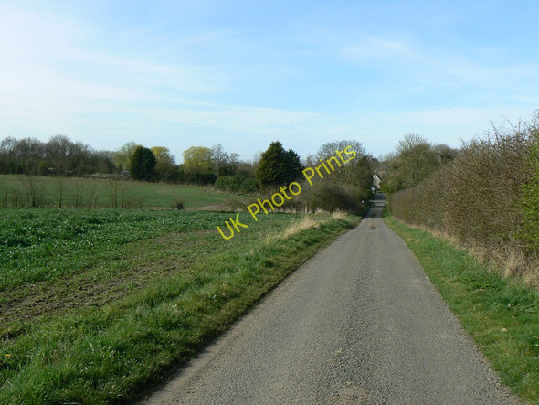 Photo 6"x4" Honeypot Lane Wattisfield c2009