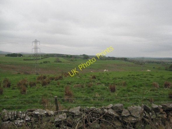 Photo 6"x4" Rough Pasture above Birch Craig Low Row\/NY5863 c2010