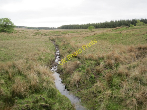 Photo 6"x4" Carling Gill near Rob's Pike Low Row\/NY5863 c2010
