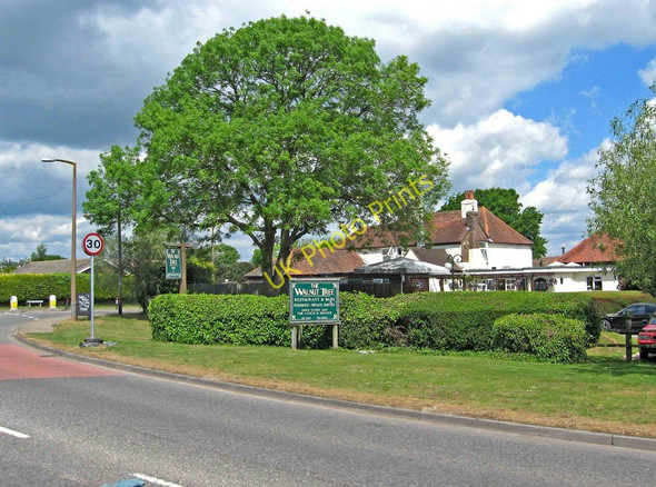 Photo 6"x4" The Walnut Tree (rear view) Chichester c2010