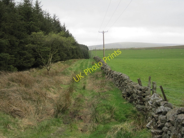 Photo 6"x4" Footpath towards Folly Rigg Tindale c2010