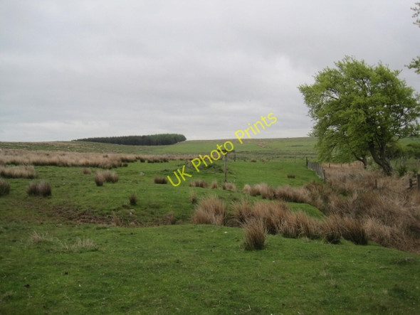 Photo 6"x4" Bridleway towards Stoop Rigg Tindale c2010