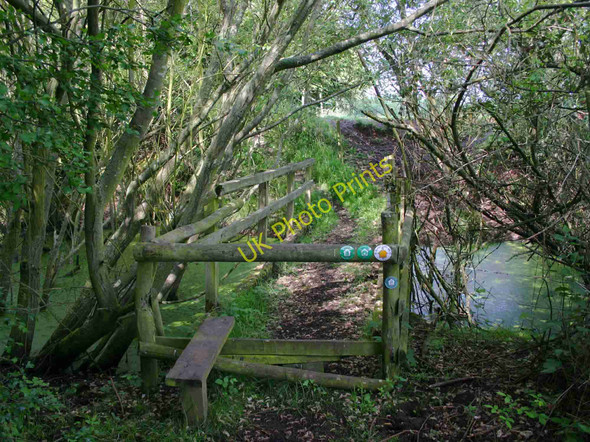 Photo 6"x4" Small bridge over pond on Centenary Way Bubbenhall c2010