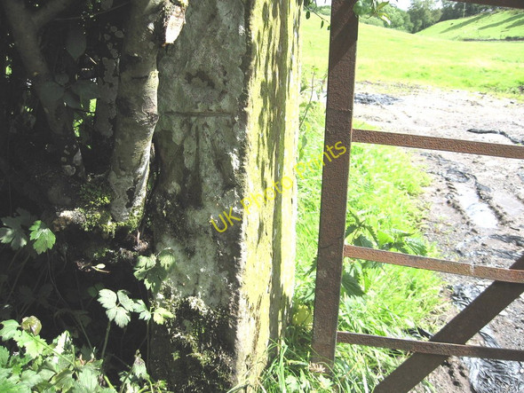 Photo 6"x4" Benchmarked gatepost at Hawkrigg Wood High Oaks\/SD6291 c2009