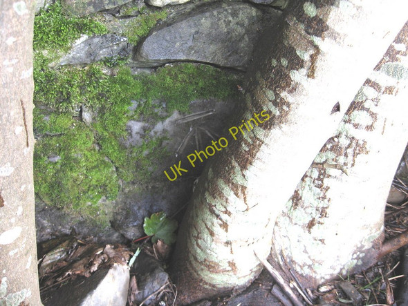 Photo 6"x4" Benchmark on wall beside A684 High Oaks\/SD6291 c2009