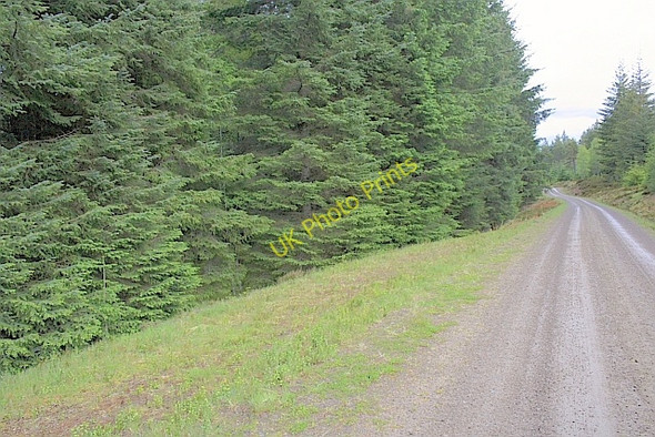 Photo 6"x4" Track, Rannoch Forest Dall Ho c2010