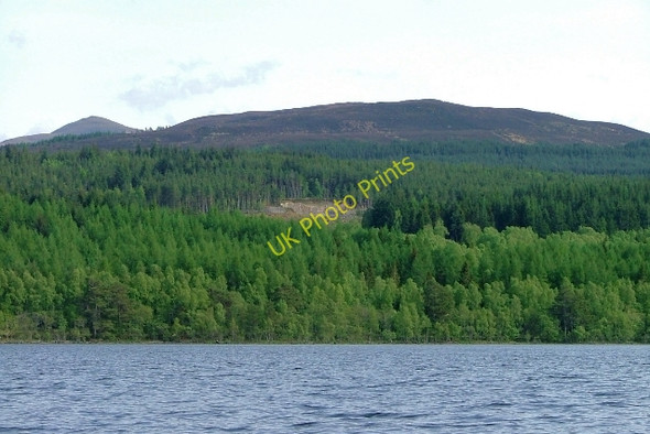 Photo 6"x4" Loch Rannoch Shoreline Loch Rannoch c2010