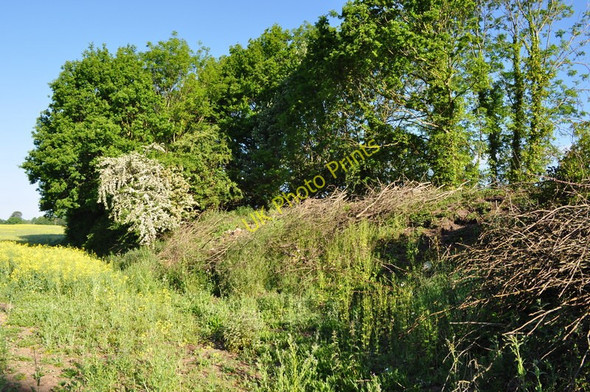 Photo 6"x4" Remains of the Embankment Broom Green c2010