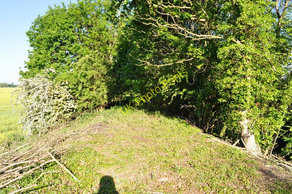 Photo 6"x4" Remains of the Embankment Broom Green c2010 P1