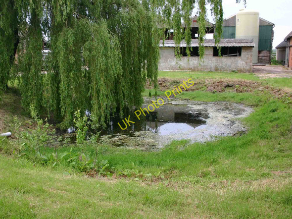 Photo 6"x4" Pond on Chesterton Fields Farm Chesterton Green c2010