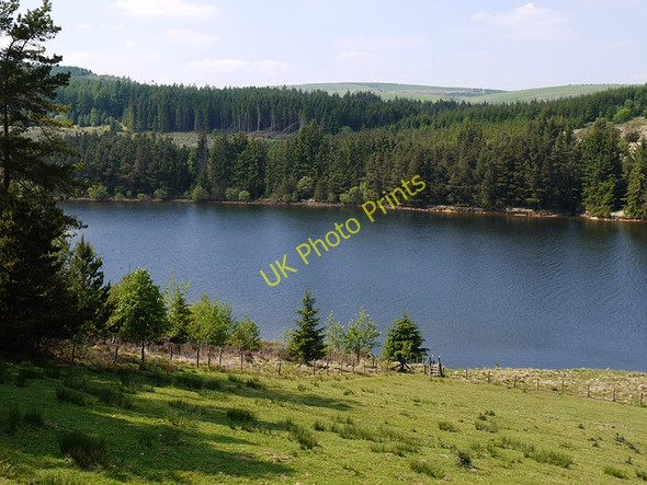 Photo 6"x4" Western arm of Llyn Clywedog Braichyfedw c2010