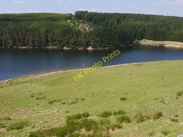 Photo 6"x4" Grazing land above Llyn Clywedog Braichyfedw c2010
