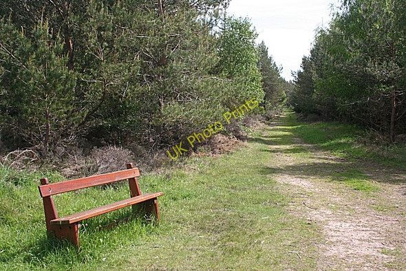 Photo 6"x4" Bench in Roseisle Forest College of Roseisle c2010