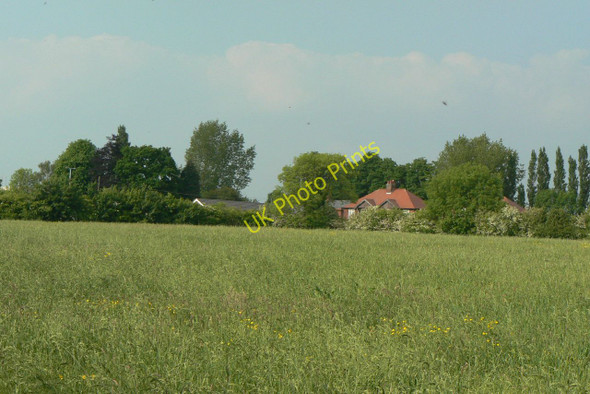 Photo 6"x4" Meadow at Woodlinkin Heanor c2010