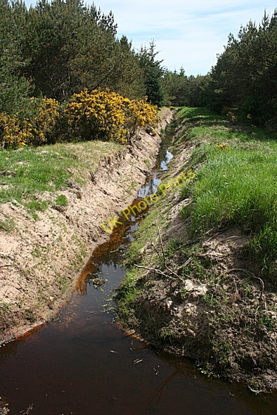 Photo 6"x4" Forest Drainage College of Roseisle c2010