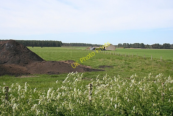 Photo 6"x4" A Shed in a Field Coltfield c2010