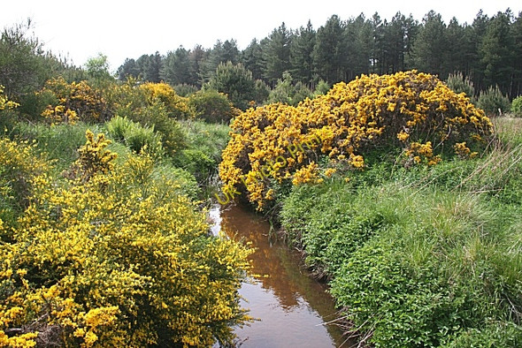 Photo 6"x4" Millie Burn College of Roseisle c2010