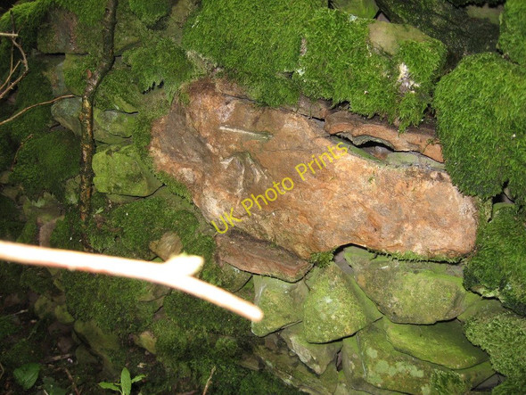 Photo 6"x4" Benchmark on wall of Firbank Road High Oaks\/SD6291 c2009