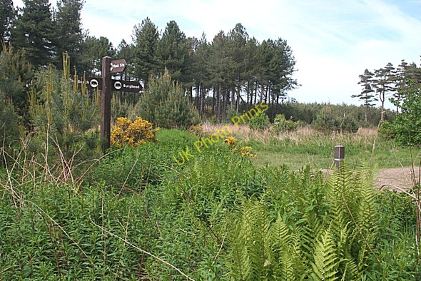 Photo 6"x4" Waymarkers at the crossroads College of Roseisle c2010
