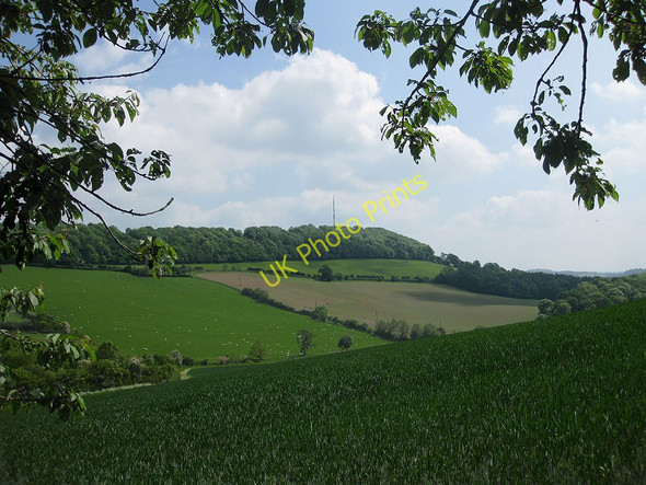 Photo 6"x4" View to Ridge Hill from Busland Wood Sollers Hope c2010