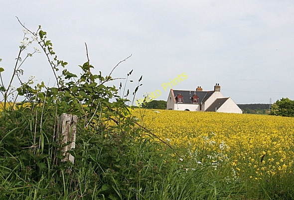 Photo 6"x4" Sparrow Castle Alves c2010