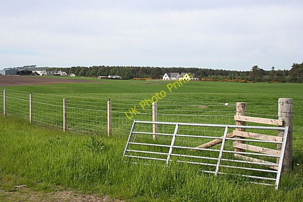 Photo 6"x4" Looking towards Easterton Alves c2010