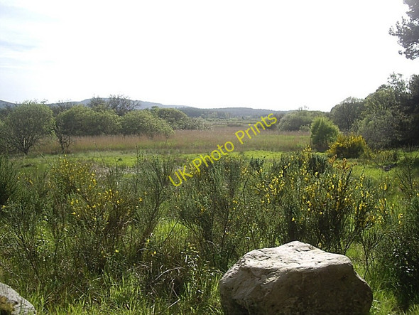 Photo 6"x4" Loch of Leys Banchory\/NO6995 c2010