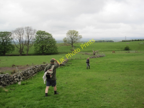 Photo 6"x4" Footpath towards Low Row Low Row\/NY5863 c2010