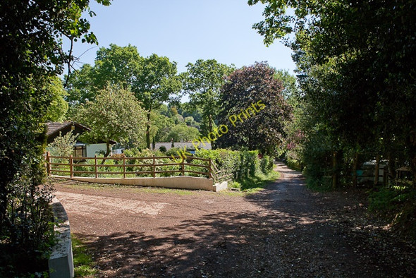 Photo 6"x4" Valley Lane, Thorney Hill Thorney Hill\/SZ2099 c2010