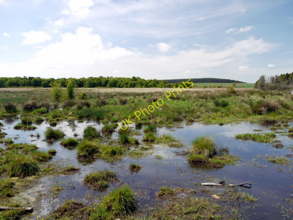 Photo 6"x4" East end of Ford Moss Ford Hill\/NT9537 c2010