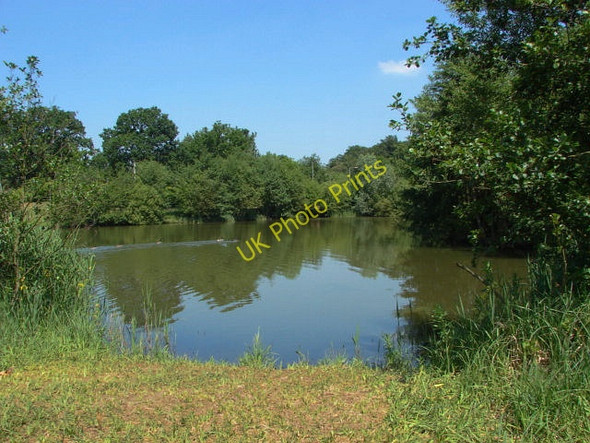 Photo 6"x4" Hillswood Business Park Addlestone c2010