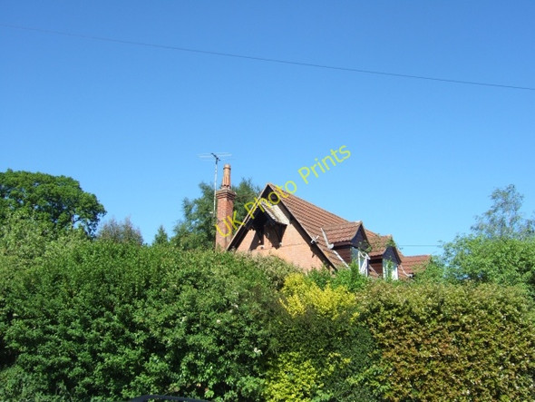 Photo 6"x4" The Wilderness, Hawkerland Hawkerland c2010