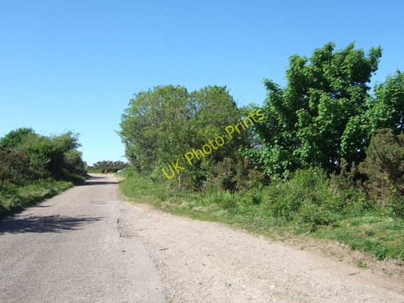 Photo 6"x4" Lane to south of A3052 Goosemoor\/SY0689 c2010