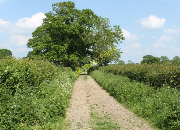 Photo 6"x4" 2010 : No wellies today in Hollow Marsh Lane Hinton Blewett c2010