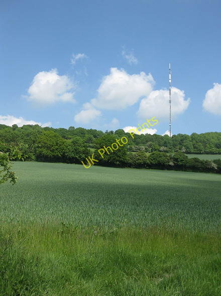 Photo 6"x4" West flank, Ridge Hill Sollers Hope c2010