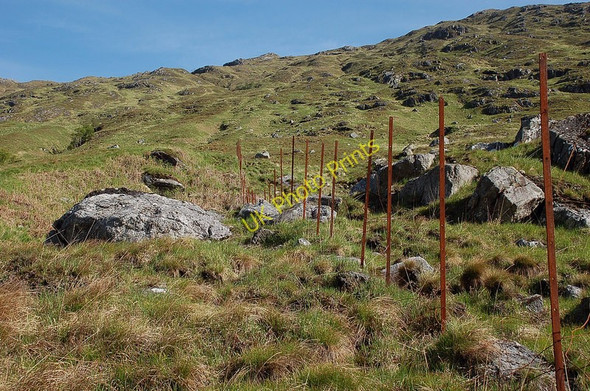 Photo 6"x4" Old fence above Abhainn Chosaidh Leac na Fearna c2010