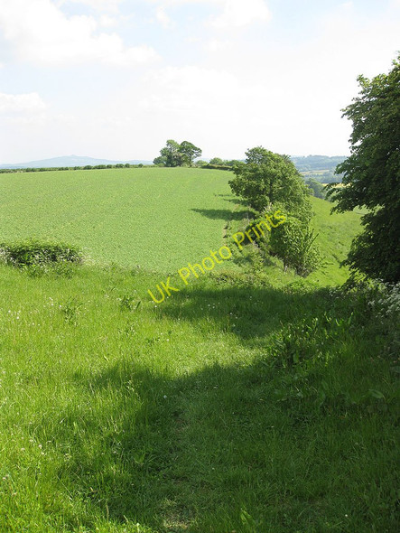 Photo 6"x4" Herefordshire Trail on Ridge Hill Crossway\/SO6131 c2010